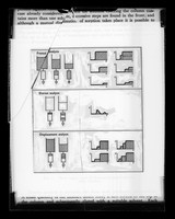 view Diagram referenced as "Column chromatography (schematic)"