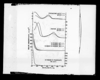 view Graph referenced as "For UV [ultraviolet] spectra of nucleic acid derivatization"