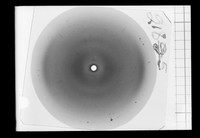 view X-ray diffraction exposure referenced as "X-ray film 2185 (Reversal)"