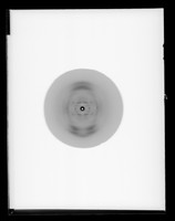 view X-ray diffraction exposure of RNA referenced as "F 3281 RNA. Higher layer lines"