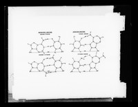 view Molecular diagram referenced as "Watson Crick and Hoogsteen [DNA] base pairs"