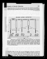 view Diagram referenced as "Released isotonic contraction. Mechanical equivalent diagram"