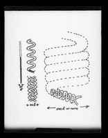 view Diagram referenced as "Nucleohistone coiling diagram"