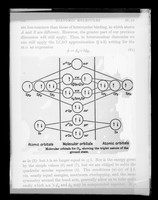 view Copy of a printed diagram referenced as "Molecular orbitals for O2 showing the triplet nature of the ground state"