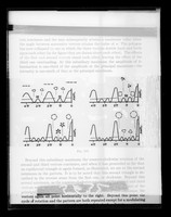 view Copy of a printed graphs referenced as "Diffr. Grating [linitch] of lines ( 2 to 6)"