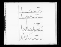 view Graph referenced as "Diffraction from paranemic helices"