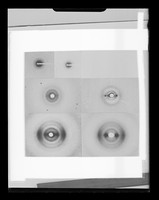 view Series of x-ray diffraction exposures referenced as "Nucleohistone rings of various humidities"