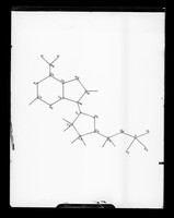 view Diagram referenced as "DNA chemical structure"