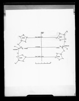 view Diagram referenced as "DNA-Ethidium model projection onto helix axis"