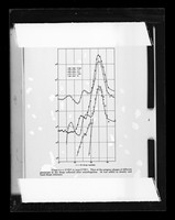 view Graph referenced as "Filter of the progeny phages of different genotypes in the drops collected after centrifugation"