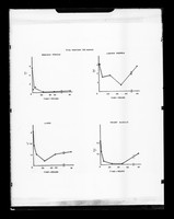 view Graph referenced as "Effect of x-rays on metabolic DNA"