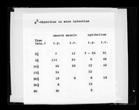 view Table referenced as "H3-Thymidine in mice intestine"