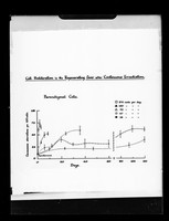 view Graph referenced as "Cell Proliferation in the regenerating liver after continuous irradiation"