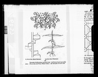 view Copy of a printed diagram referenced as "Glide plane and screw axis"