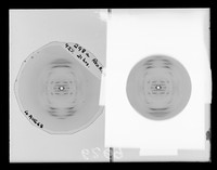 view X-ray diffraction exposure referenced as "Reo RNA (Α [alpha] )"