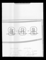 view Diagram referenced as "Protein chain growth II"