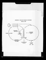 view Diagram referenced as "Protein synthesis"