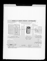 view Illustrative diagram referenced as 'scheme of soluble-compound autoradiography'