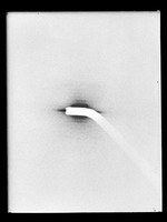 view X-ray diffraction exposure referenced as 'X-ray 24 (iii)'