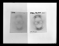 view X-ray diffraction exposure of RNA at 44% relative humidity referenced as 'X-ray photograph 275a-b'