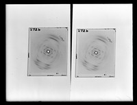 view X-ray diffraction exposure referenced as 'X-ray photograph 272 b'