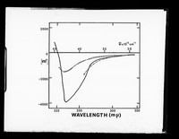 view Graph referenced as 'ORD (optical rotary dispersion) of ribosomal proteins'