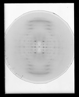 view X-ray diffraction exposures of RNA and DNA in various salts referenced as 'Dr Dover'