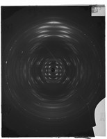 view KCL Department of Biophysics: full plate series: glass slides of images relating to research conducted in the Biophysics Unit and subsequently Department of Biophysics