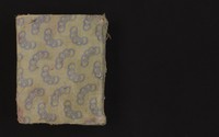 view MS Arabic 293.