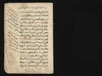 view MS Arabic 298