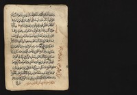 view MS Arabic 575.