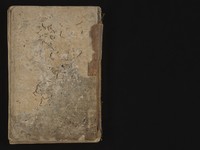 view MS Arabic 734