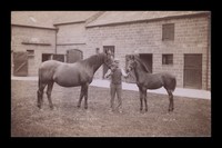 view Measurement of Racehorses and Other Pedigree Stock