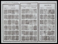 view Standard Finger-Print Chart