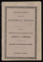 view Signor Sarti's Florentine anatomical models : Popular description of two full-length figures, Venus & Adonis, illustrative of the anatomy of the human frame.