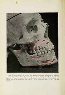Oral anaesthesia; local anaesthesia in the oral cavity