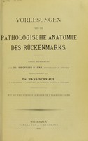 view Vorlesungen uber die pathologische Anatomie des Ruckenmarks.