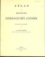 view Atlas der mikroskopischen pathologischen Anatomie / gezeichnet und bearbeitet von August Foerster.