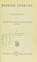 view British insects : a familiar description of the form, structure, habits, and transformations of insects / by E.F. Staveley.