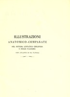 view Illustrazioni fisiologiche e patologiche del sistema linfatico-chilifero mediante la scoperta di un gran numero di comunicazioni di esso col venoso / del Regolo Lippi.