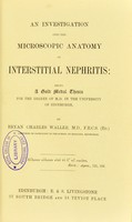 view An investigation into the microscopic anatomy of interstitial nephritis / by Bryan Charles Waller.