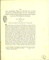 view Über zwei verschiedene Typen in dem Bau der erectilen männlichen Geschlechtsorgane bei den strafssartigen Vögeln und über die Entwickelungsformen dieser Organe unter den Wirbelthieren überhaupt / von Hrn. Müller.