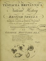 view Testacea Britannica; or, British shells / [George Montagu].