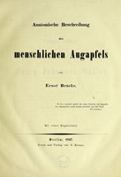 view Anatomische Beschreibung des menschlichen Augapfels ... / [Ernst Brücke].