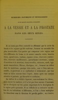 view Recherches anatomiques et physiologiques sur les appareils musculaires correspondants à la vessie et à la prostate dans les deux sexes / par A. Sabatier.