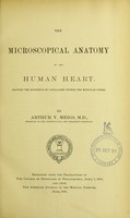 view The microscopical anatomy of the human heart : showing the existence of capillaries within the muscular fibres / by Arthur V. Meigs.