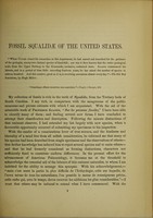 view Monograph of the fossil Squalidae of the United States / by Robert W. Gibbes.