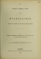 view On a dorsal dermal spine of the hylaeosaurus, recently discovered in the strata of Tilgate Forest / by Gideon Algernon Mantell.