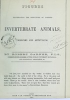 view Figures illustrating the structure of various invertebrate animals, (mollusks and articulata) / by Robert Garner.