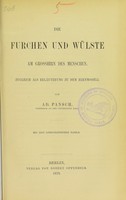 view Die Furchen und Wülste am Grosshirn des Menschen : zugleich als Erläuterung zu dem Hirnmodell / von Ad. Pansch.